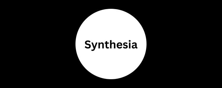 synthesia-black-friday-featured